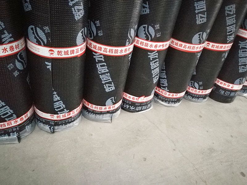 彈性體(塑性體）改性瀝青防水卷材