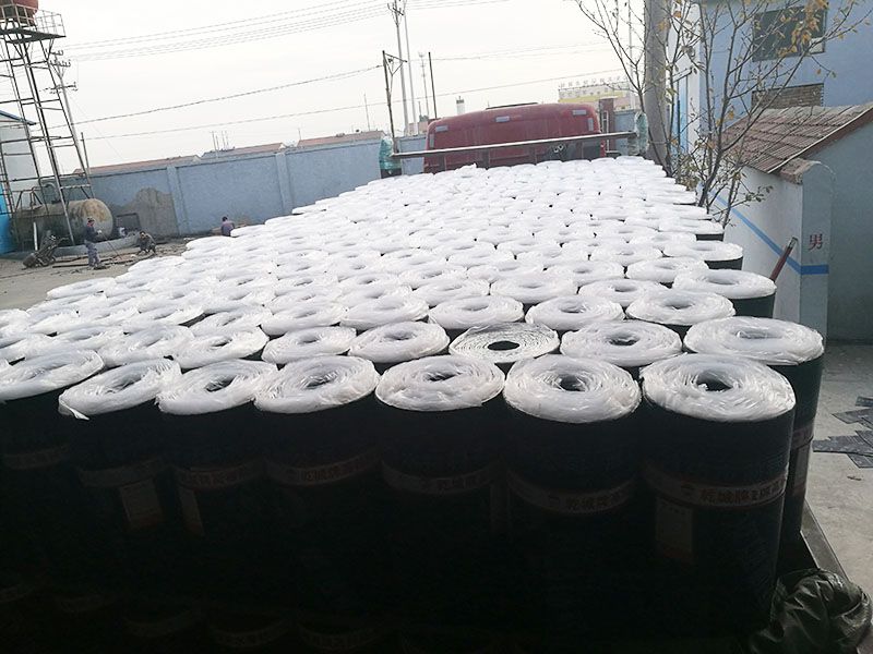 彈性體(塑性體）改性瀝青防水卷材