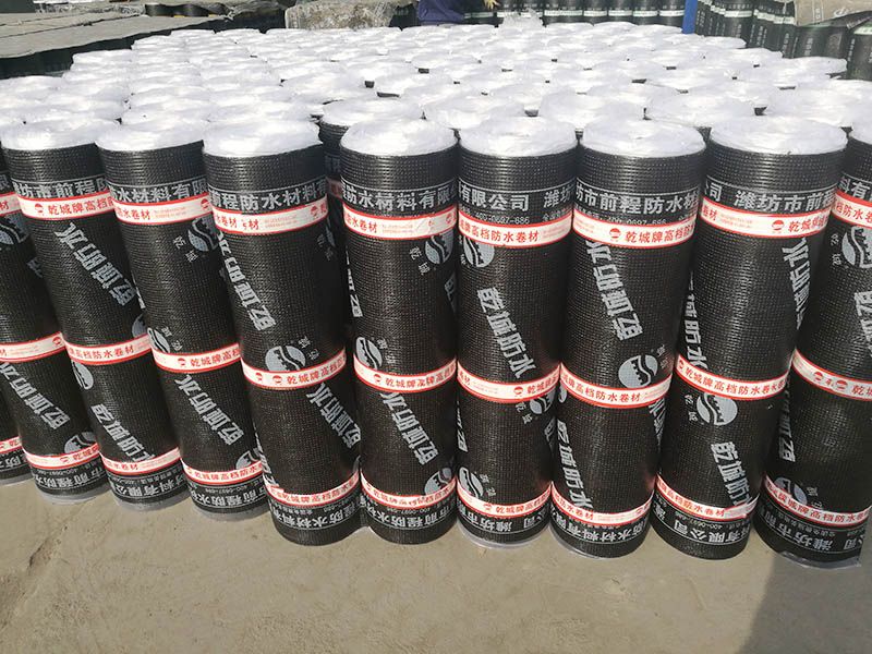 彈性體(塑性體）改性瀝青防水卷材